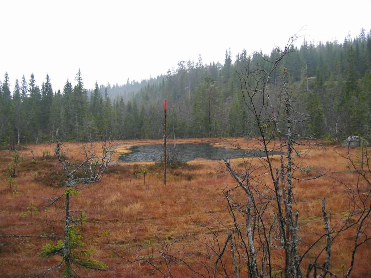 Den nyrestaurerte skiløypa mellom Fagervann og Mosjøen