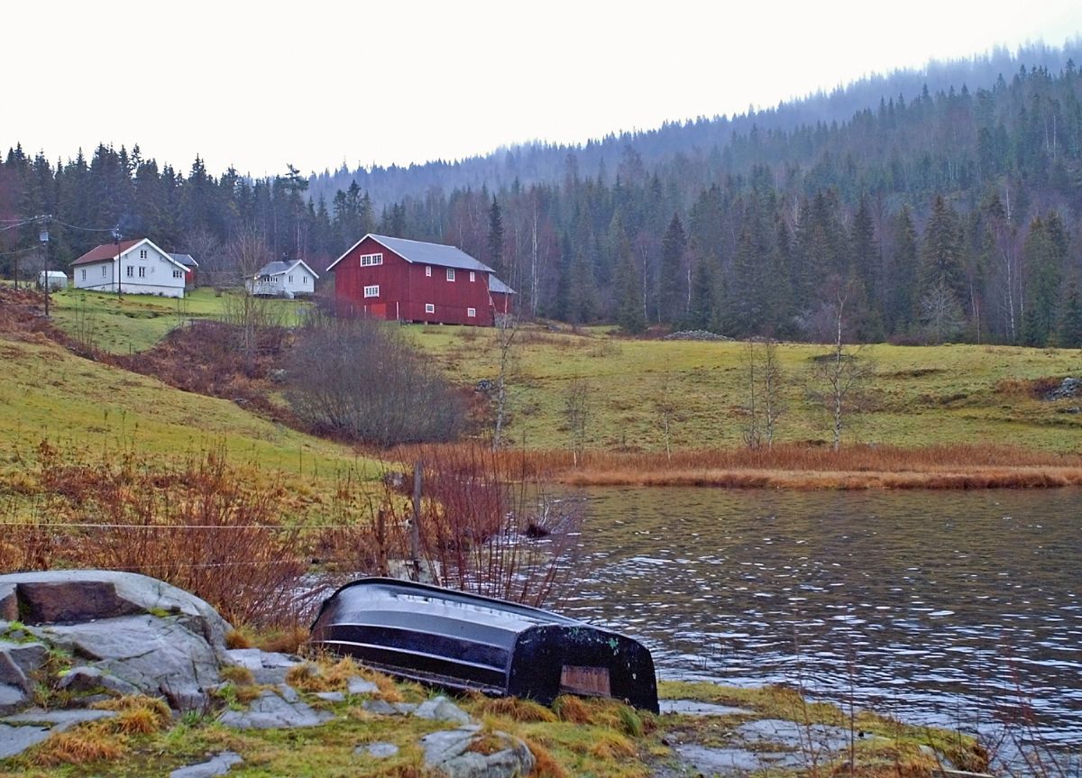 Desemberhøst ved Haugen gård