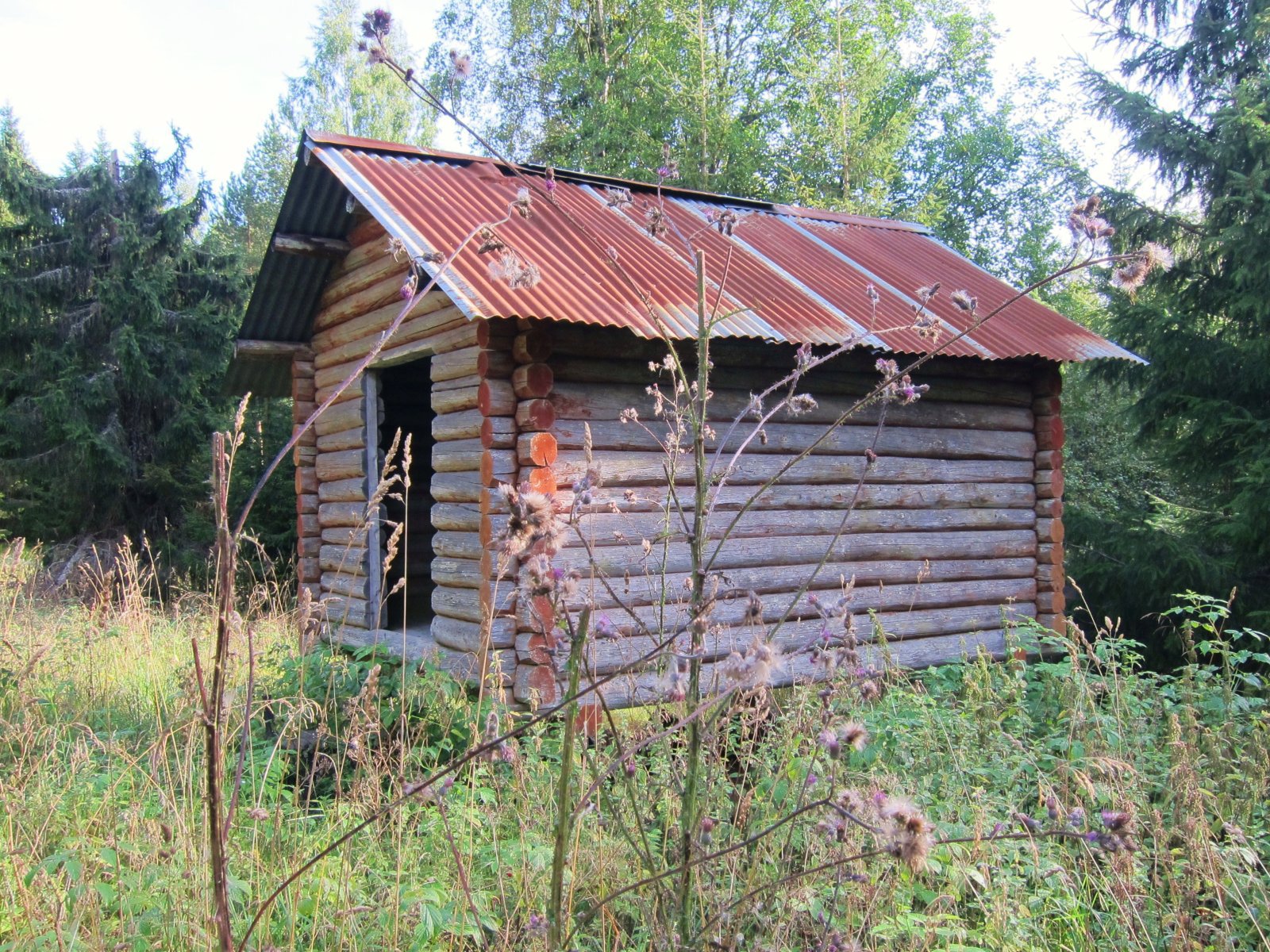 Det gror rundt stabburet