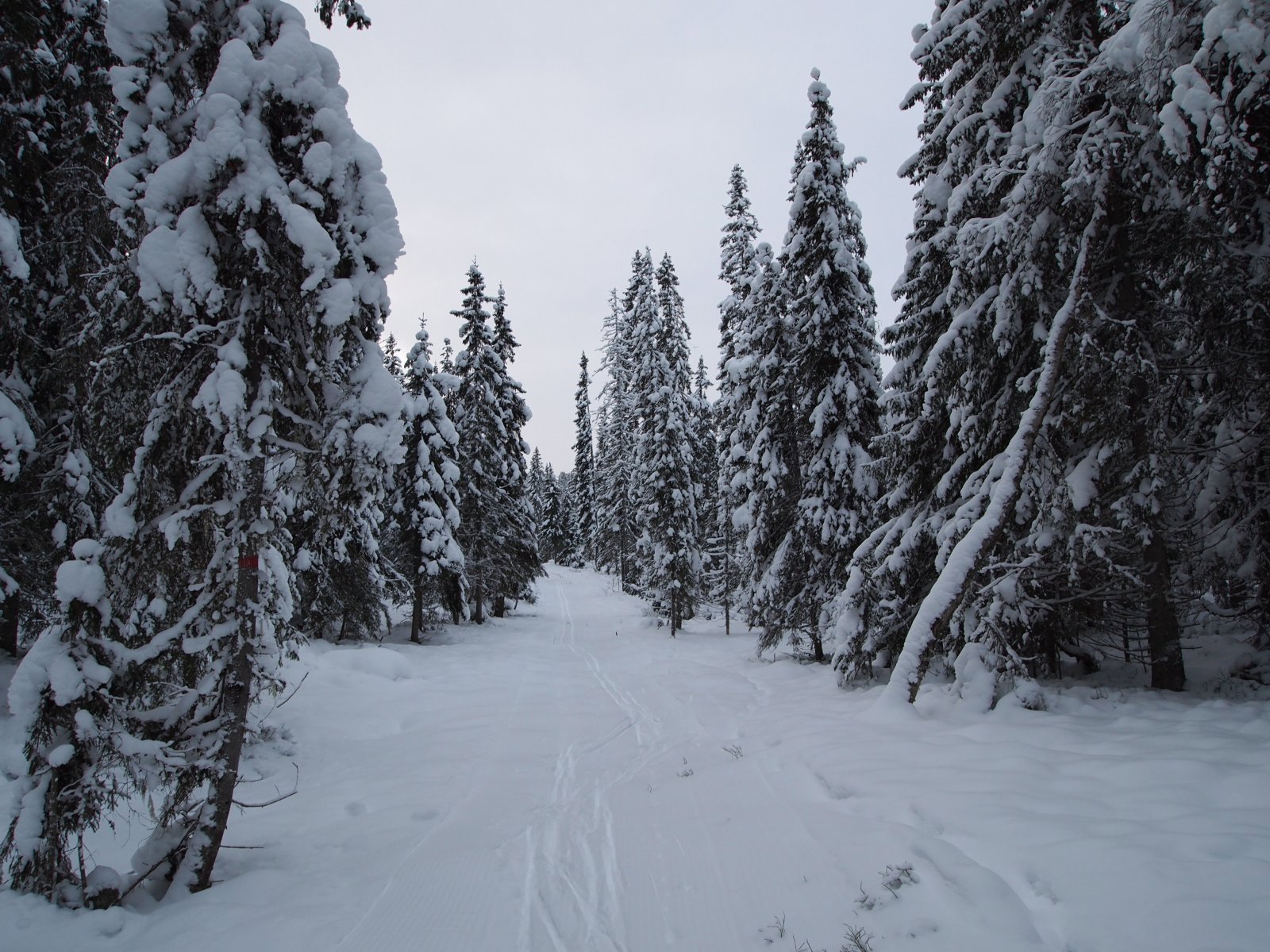 Det hjelper på med snø i terrenget nå!