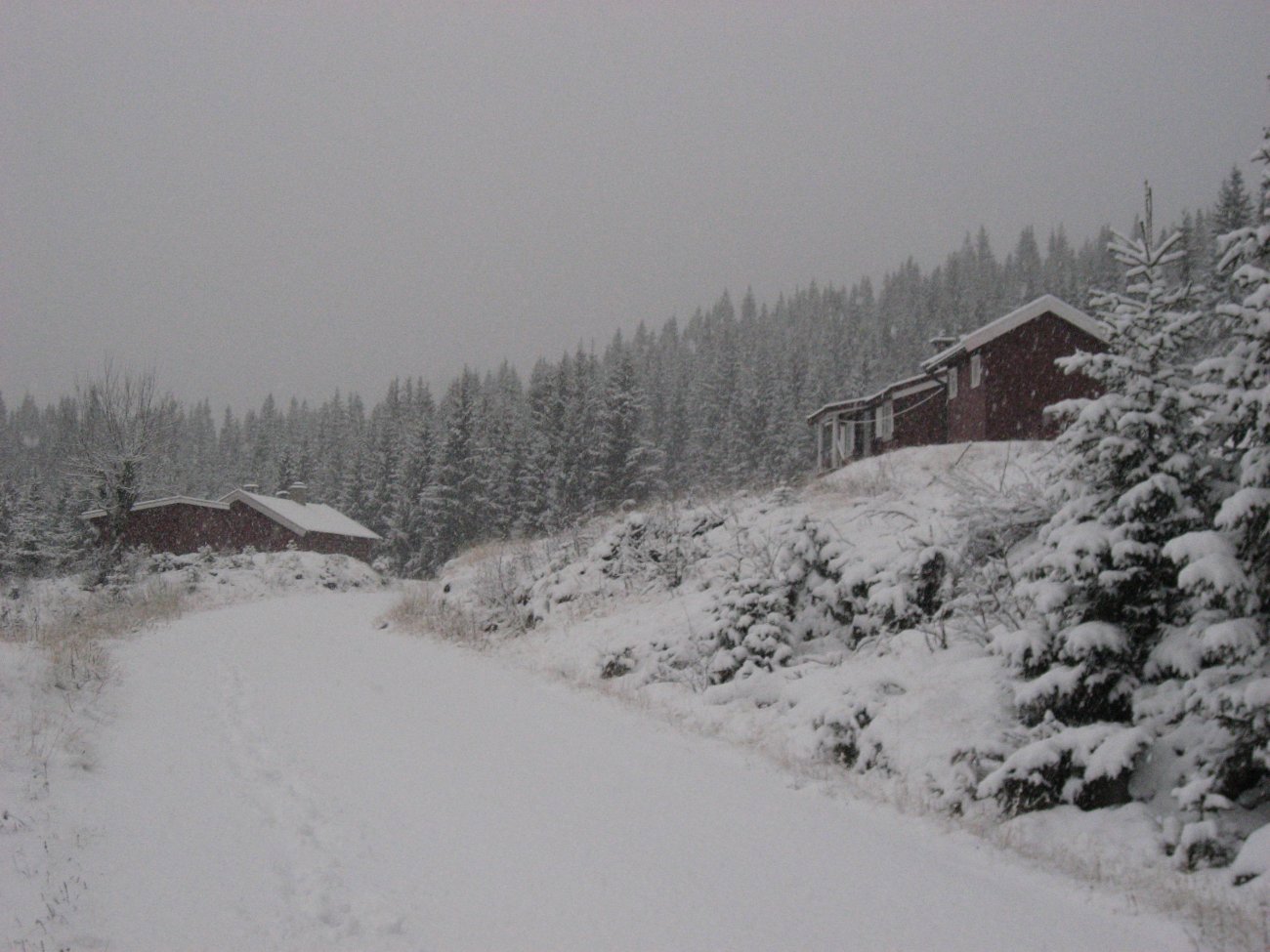 Det snør det snør tiddelibom