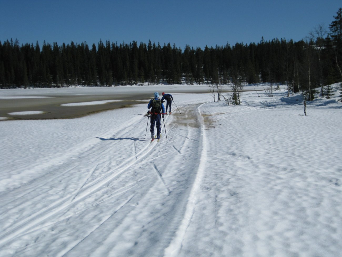 Det våres ved Steinbutjern