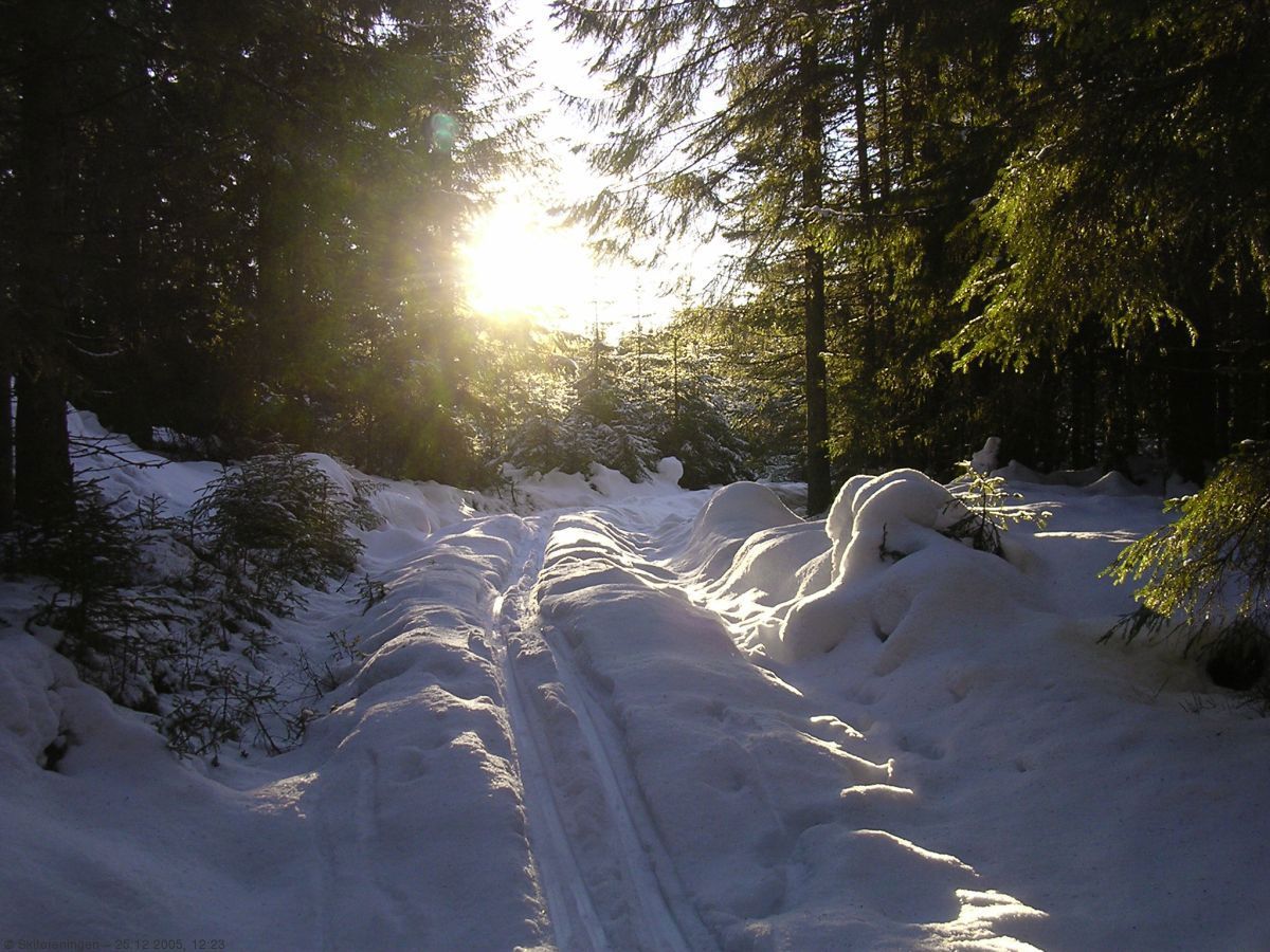 Dette er en fristilsløype