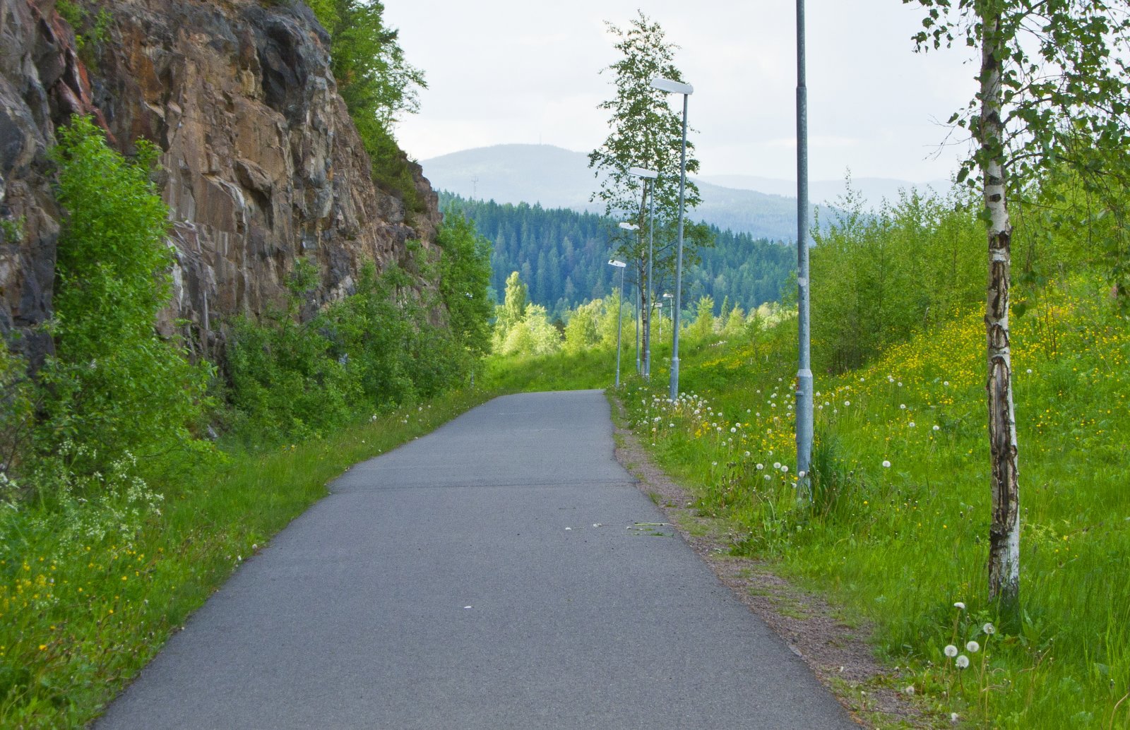 Disig mot Varingskollen