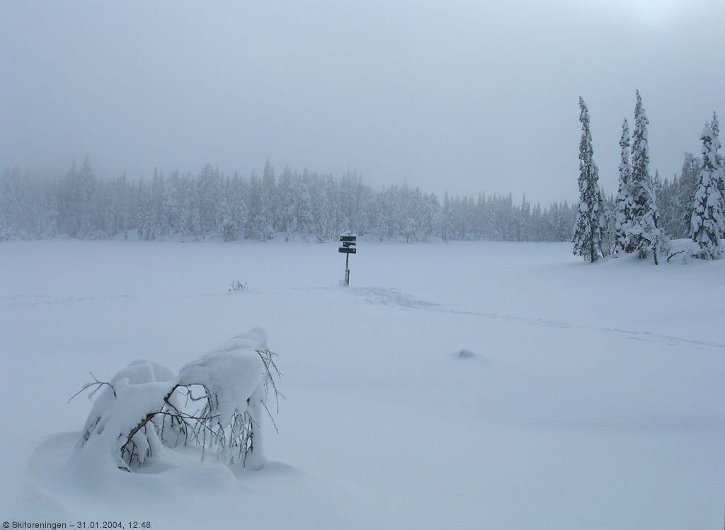 Disig ved Gampetjern