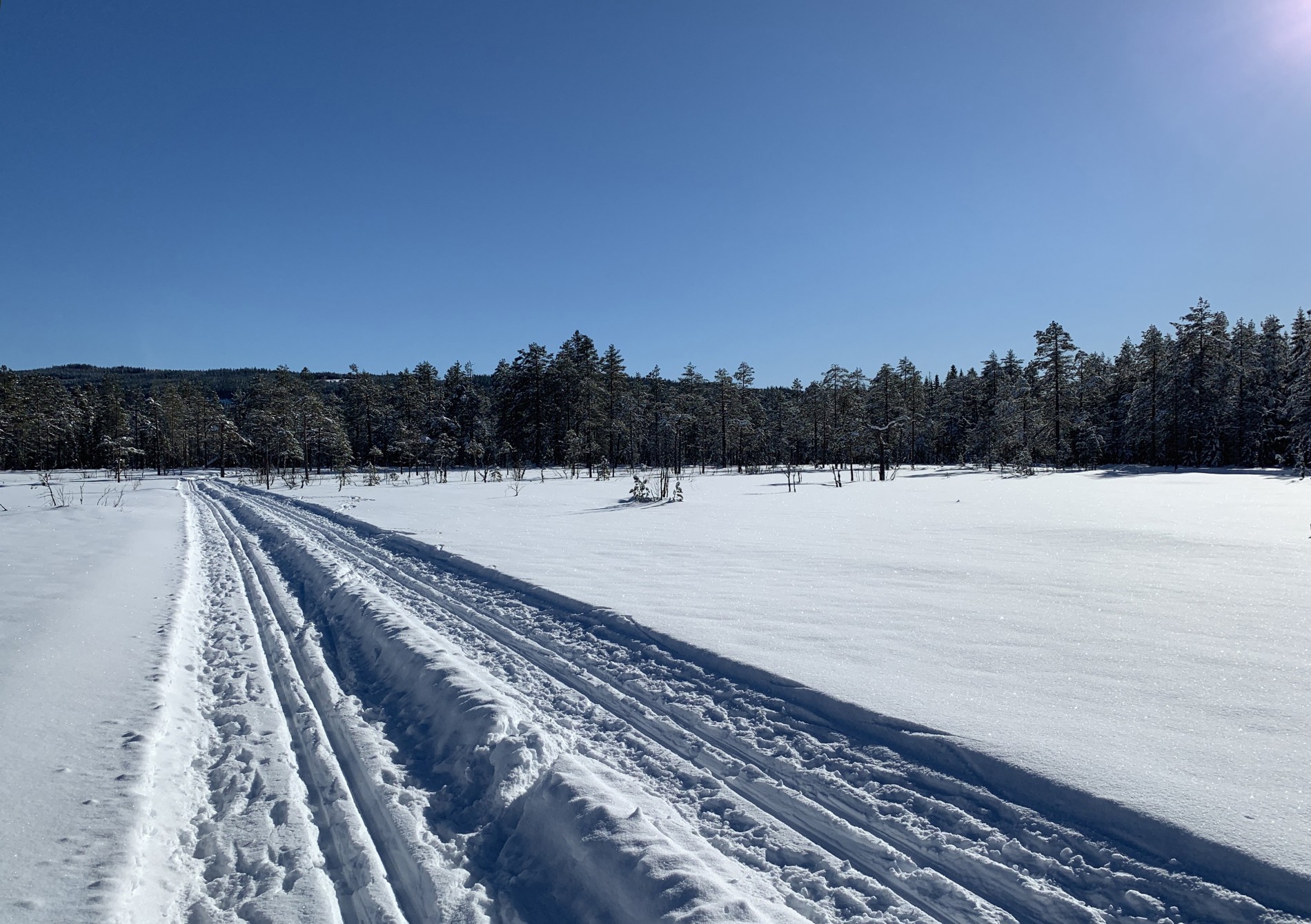 Doble scooterspor ved Vesleflåtan