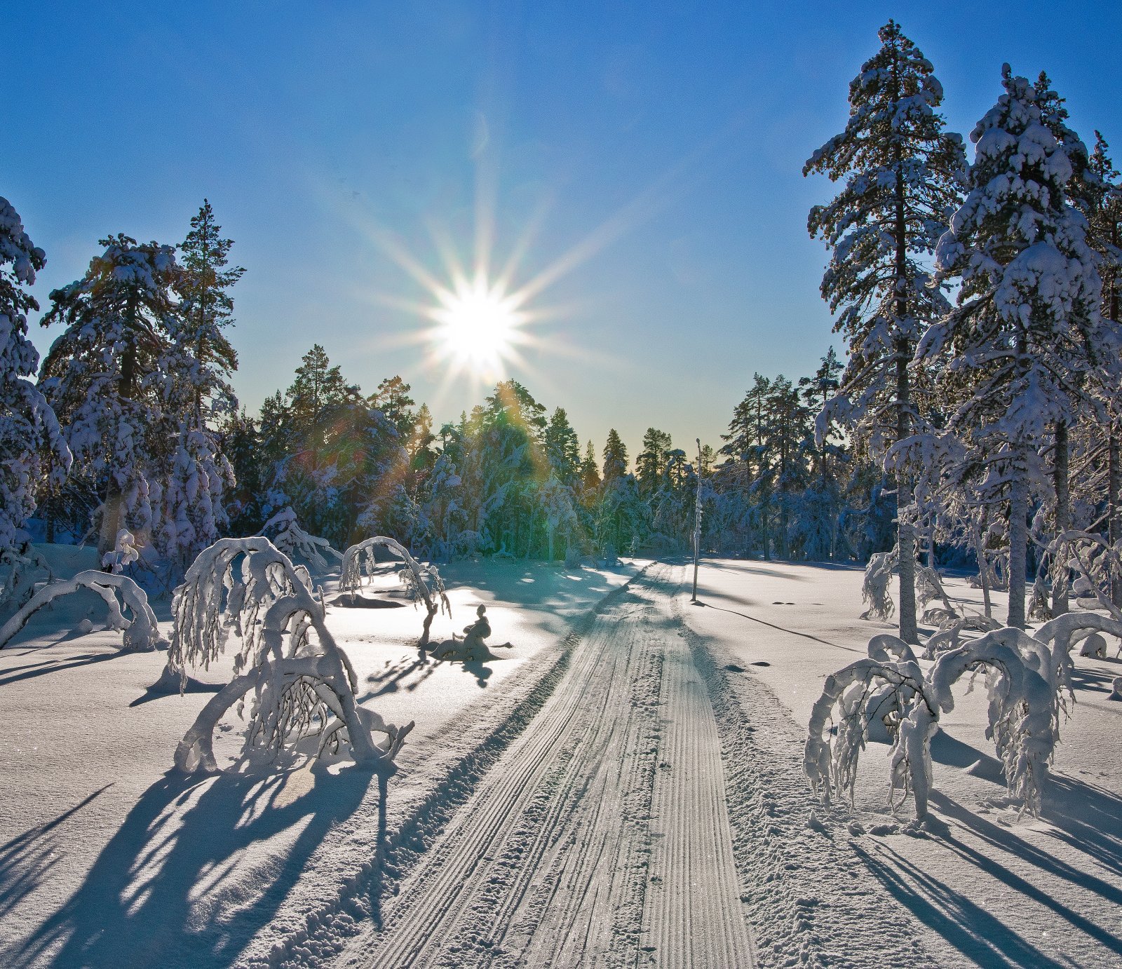 Drømmedag på Gyrihaugflaka