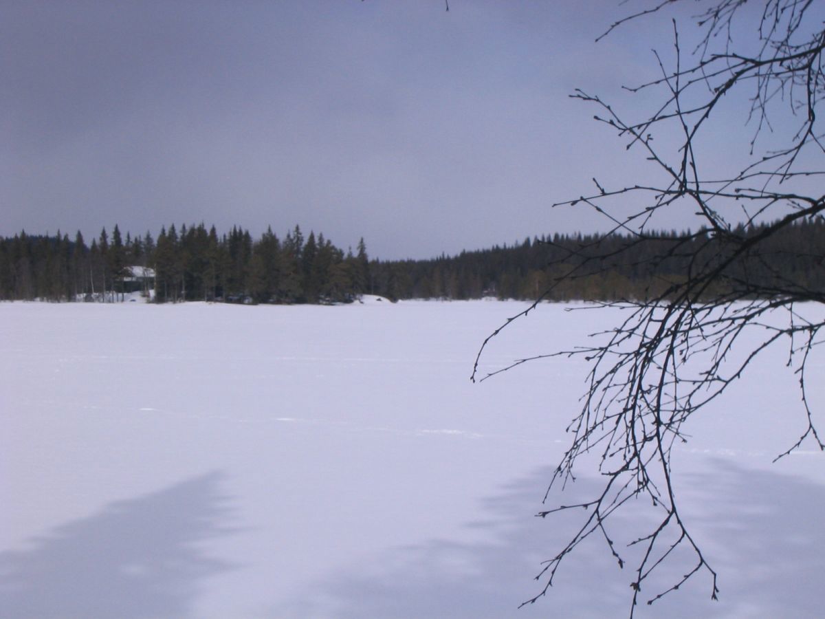 Drømmeføre i Ringkollområdet