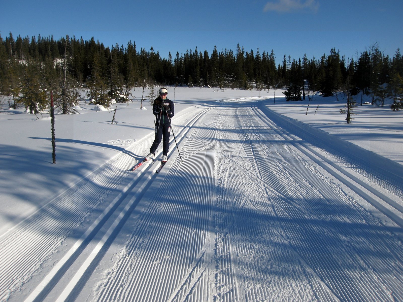 Drømmeforhold på Hadelandsåsen