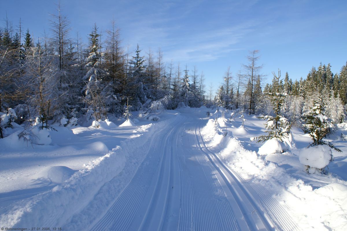Drømmeforhold på Krokskogen