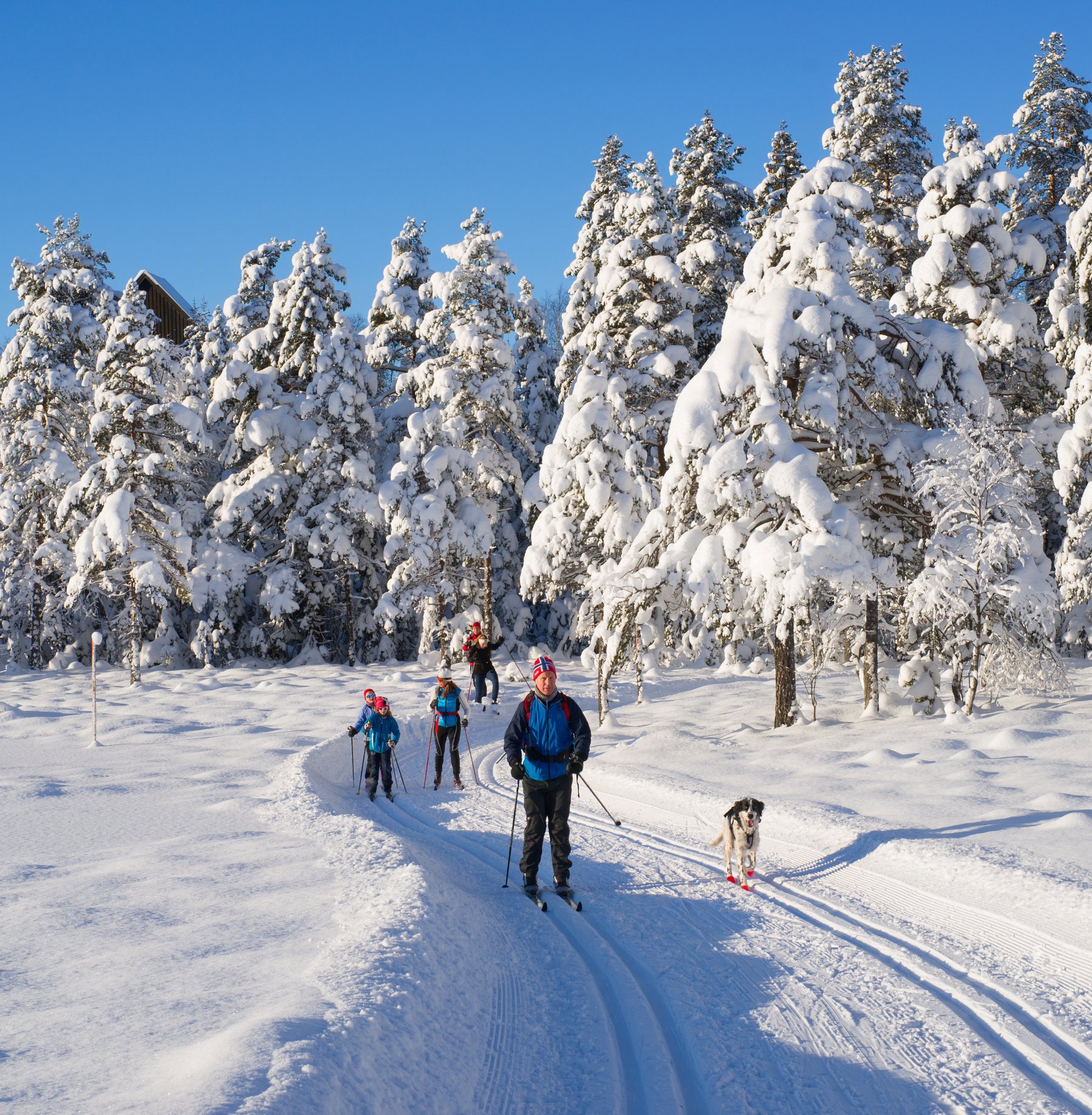 Drømmeforhold ved Haslumseter