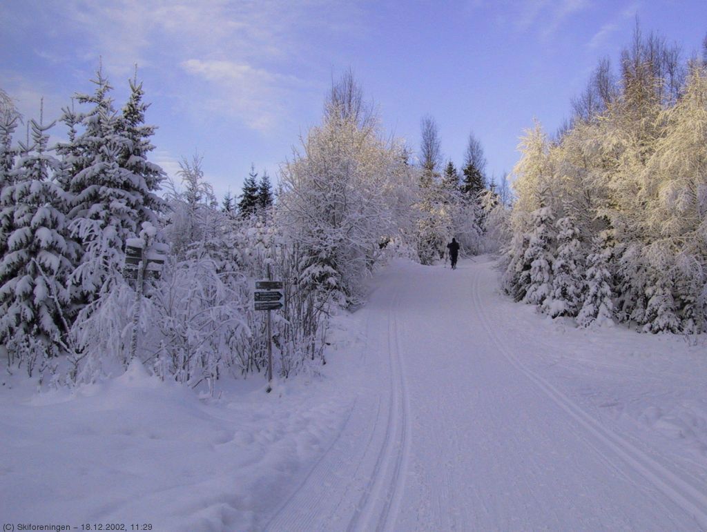 Dumpa ved Bjordammen