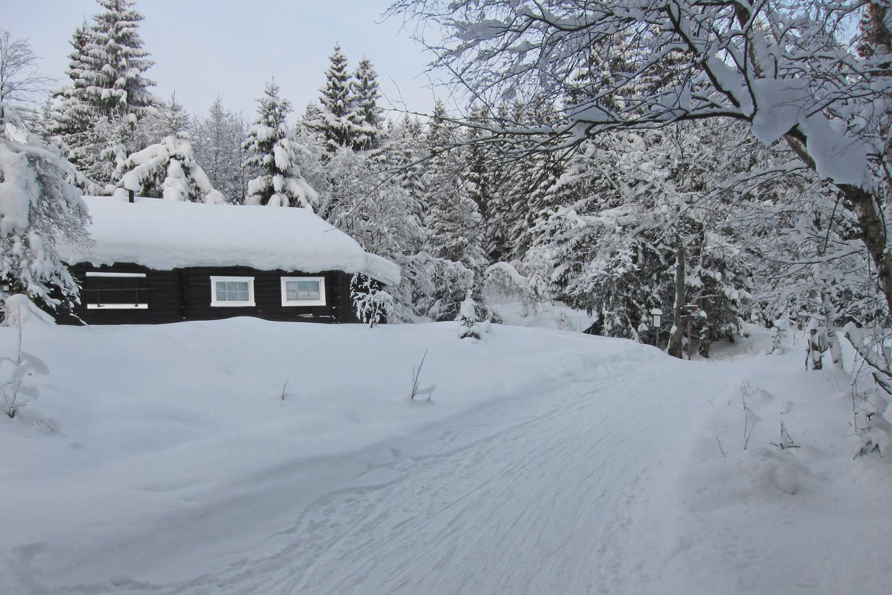 Eiksbakkhytta på januars siste dag