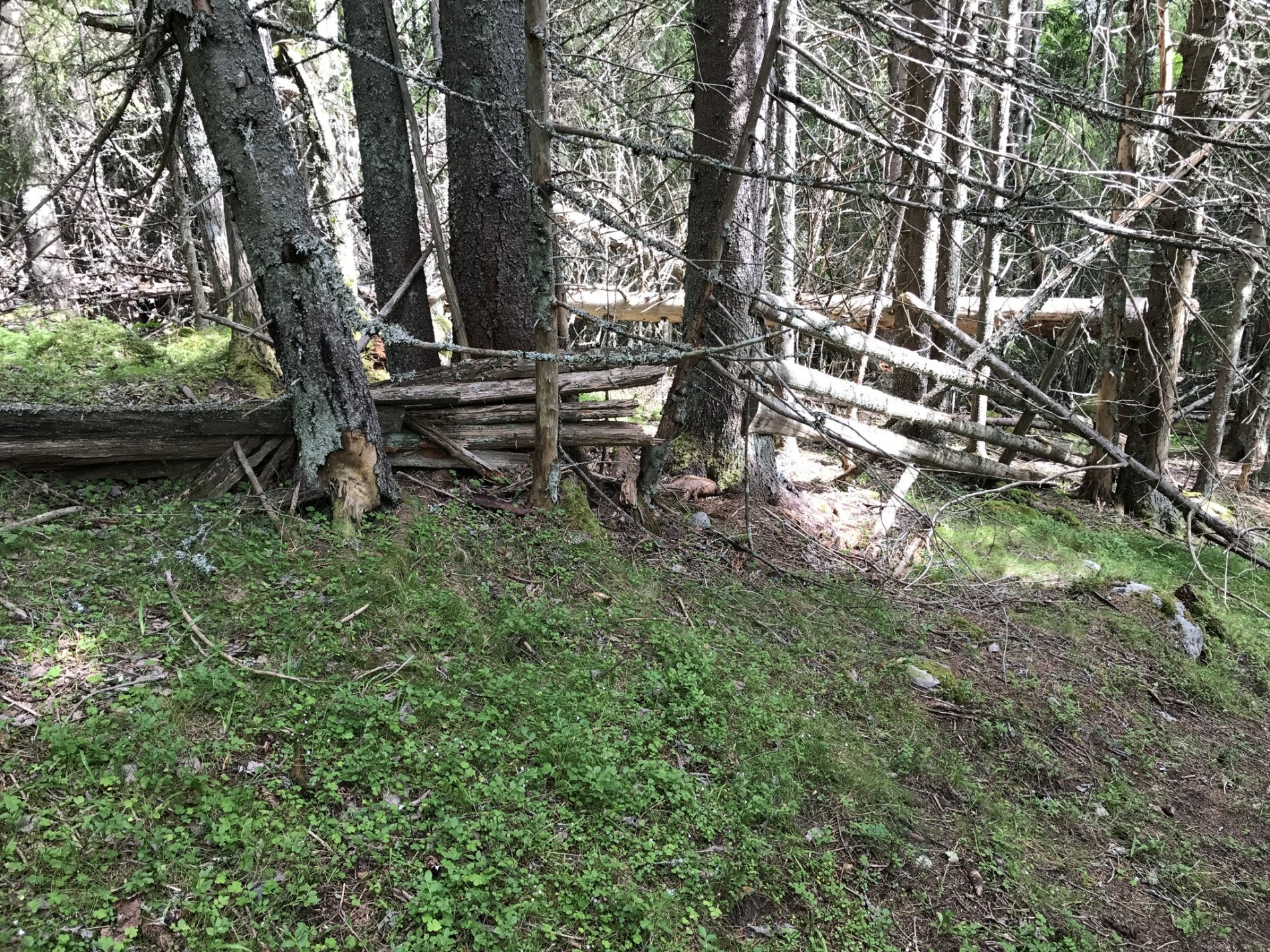 Ein skigard kan ikkje vara evig