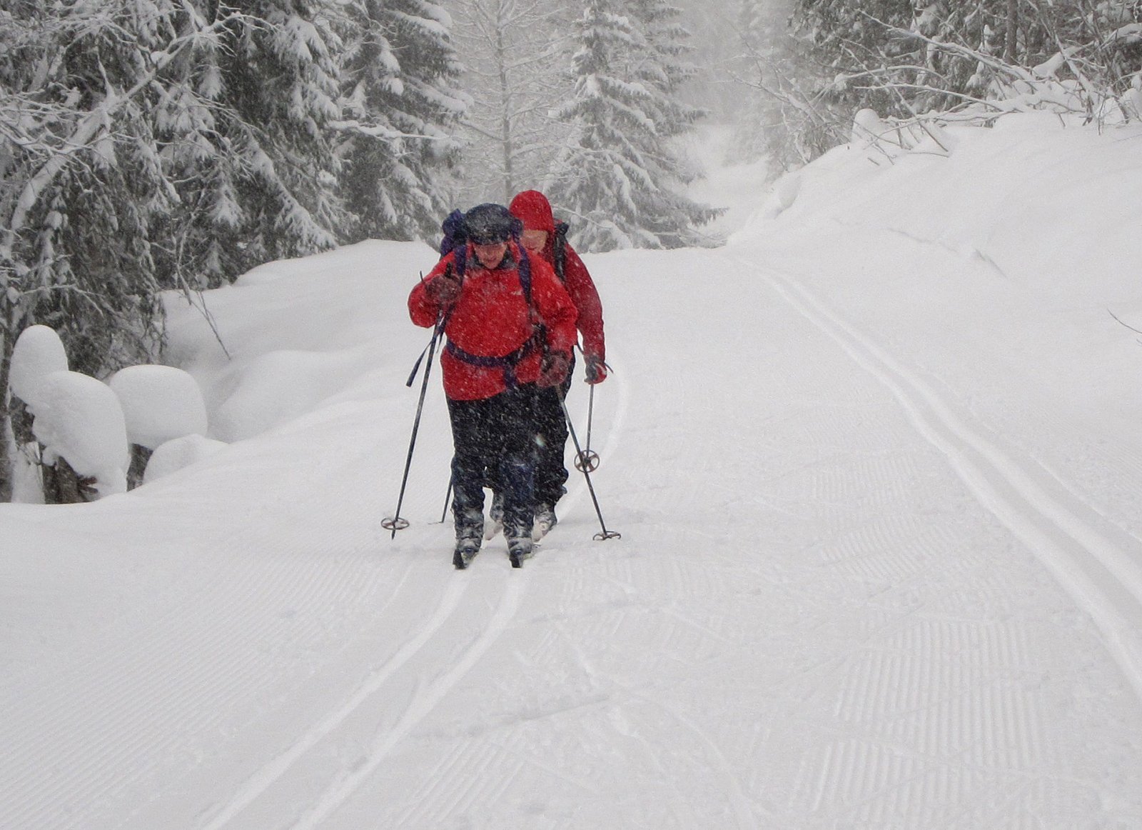 Ekspedisjon ved Gjerdingen