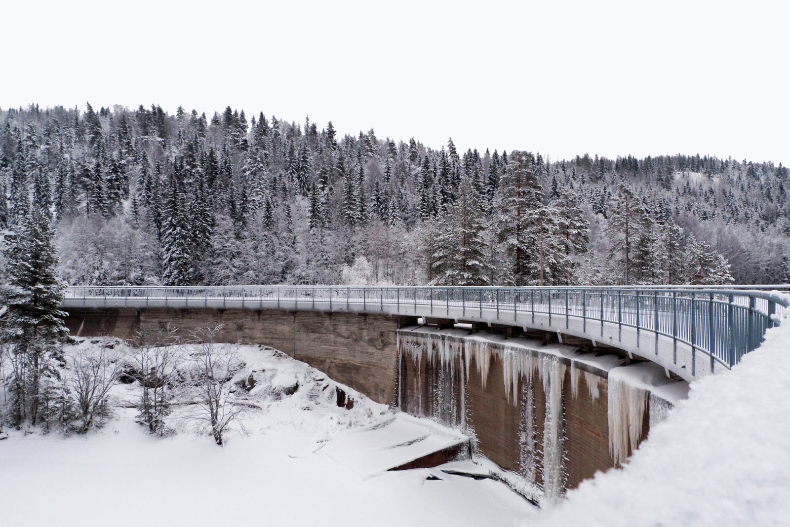 Elvågademningen