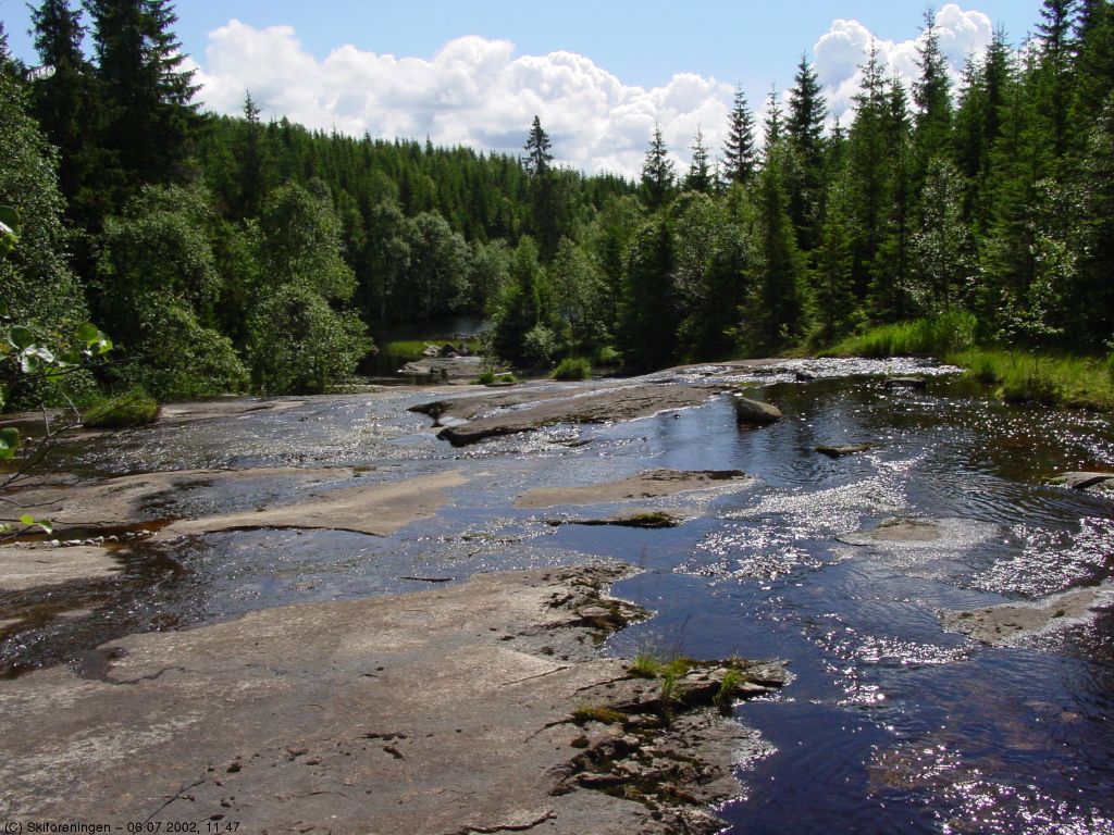 Elven ut fra Vrangen (4)