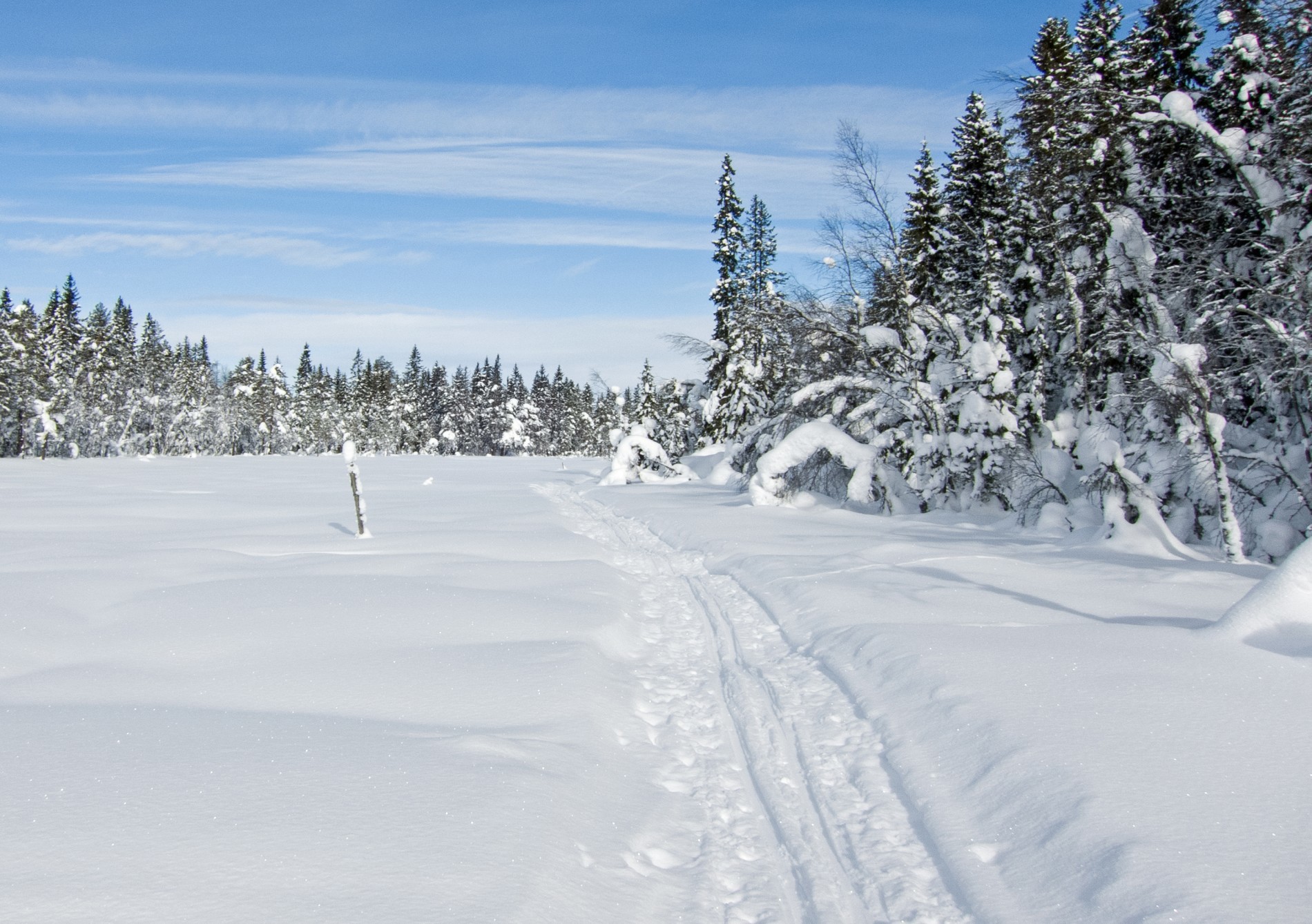 En av de vakreste løypene i Marka