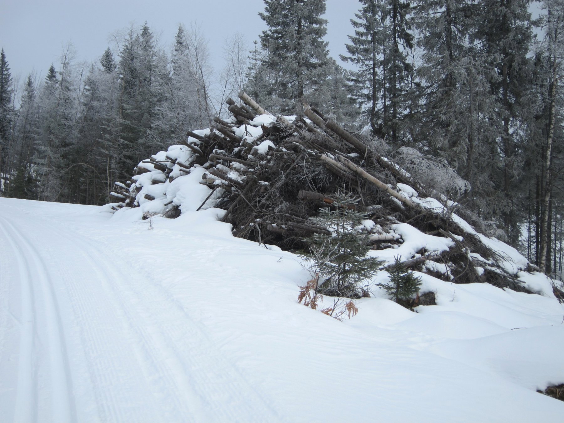 En av mange vedstabler ved Spålsveien