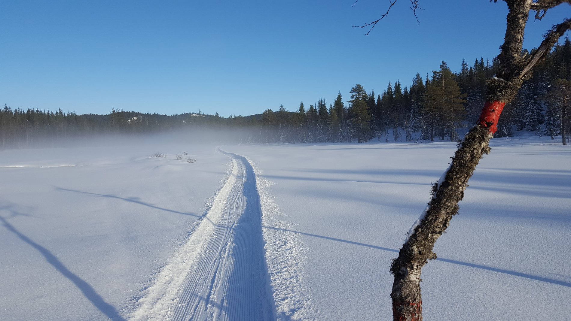 En avstikker med lønn for strevet