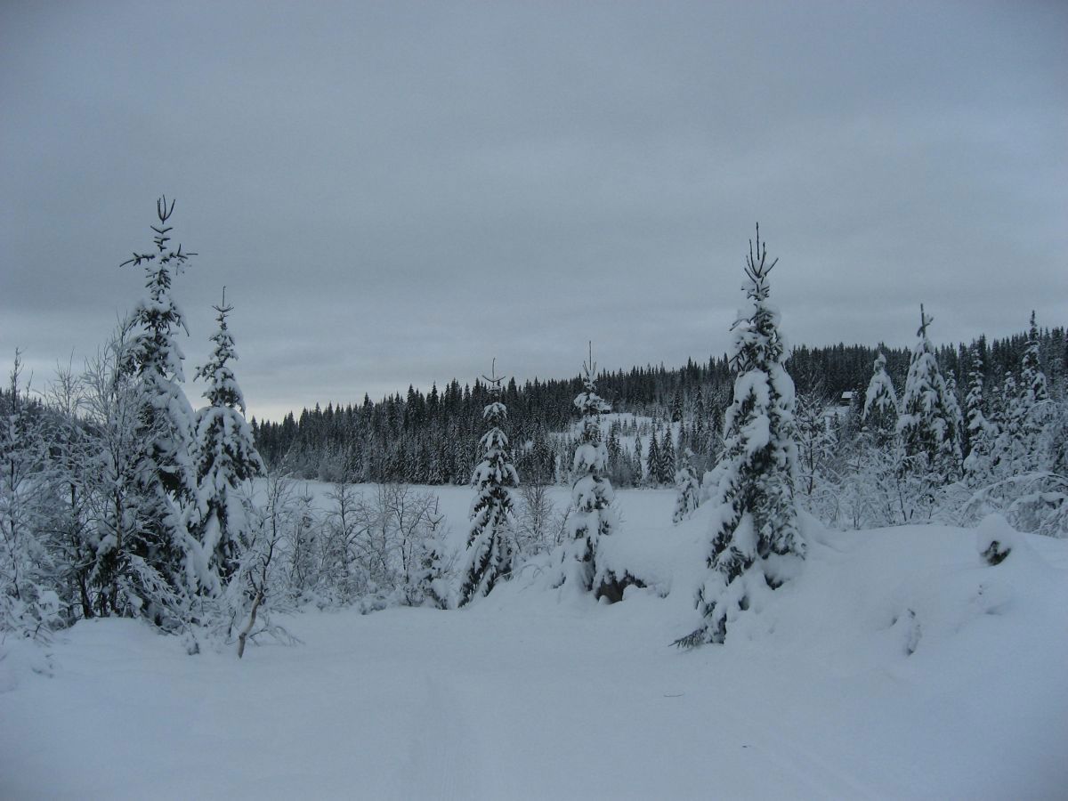 En fantastisk skidag ved Ugla