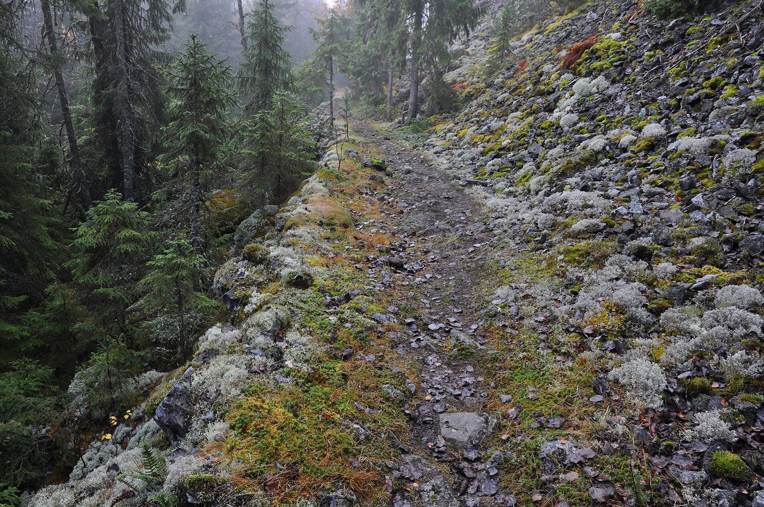 En nydelig opparbeidet vei