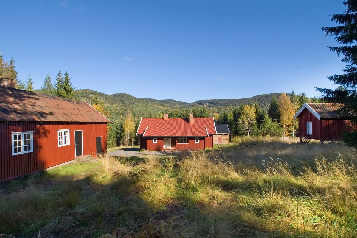 En sommer er over på Kongsvangskog