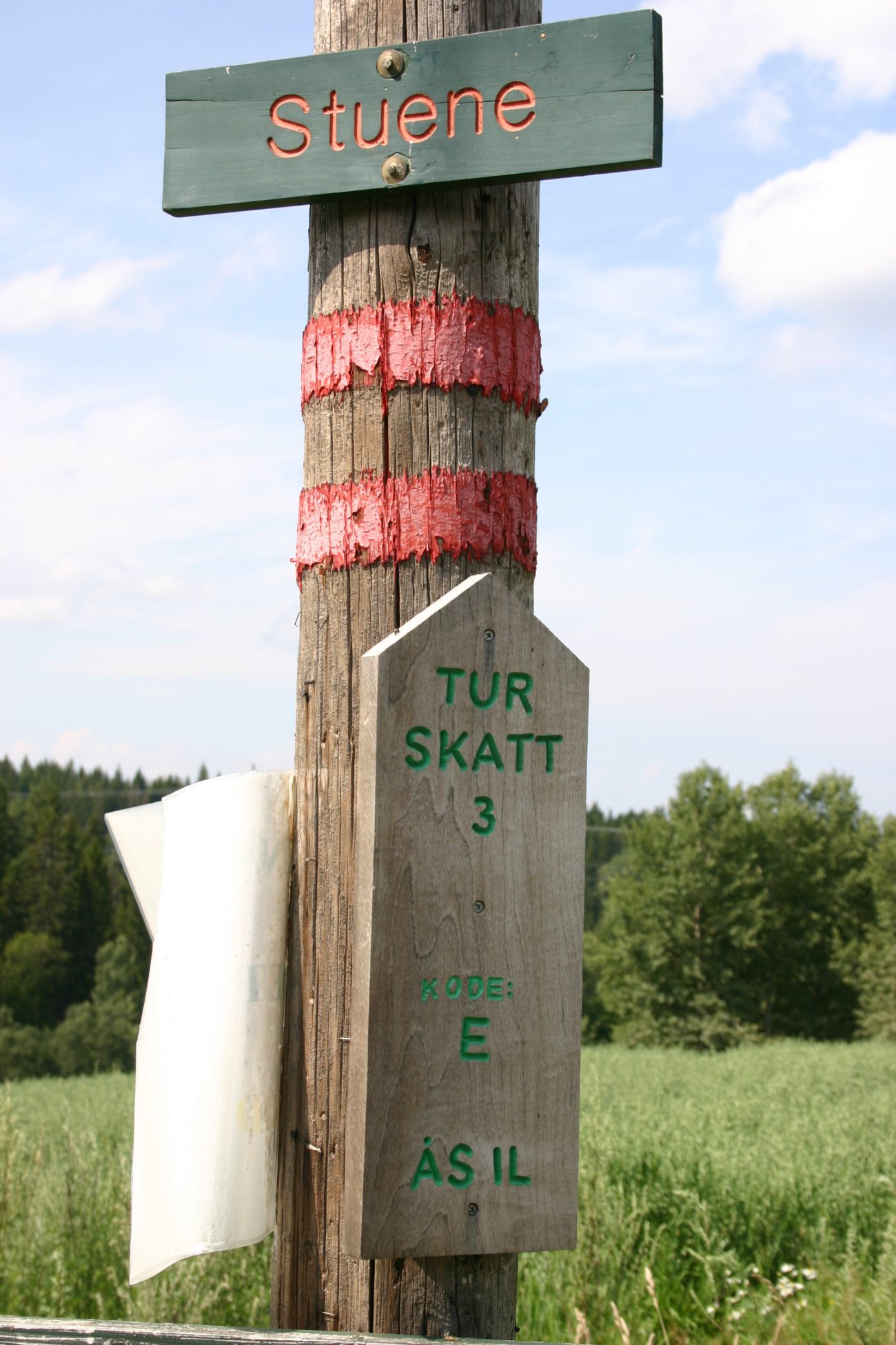 En turskatt ved Stuene