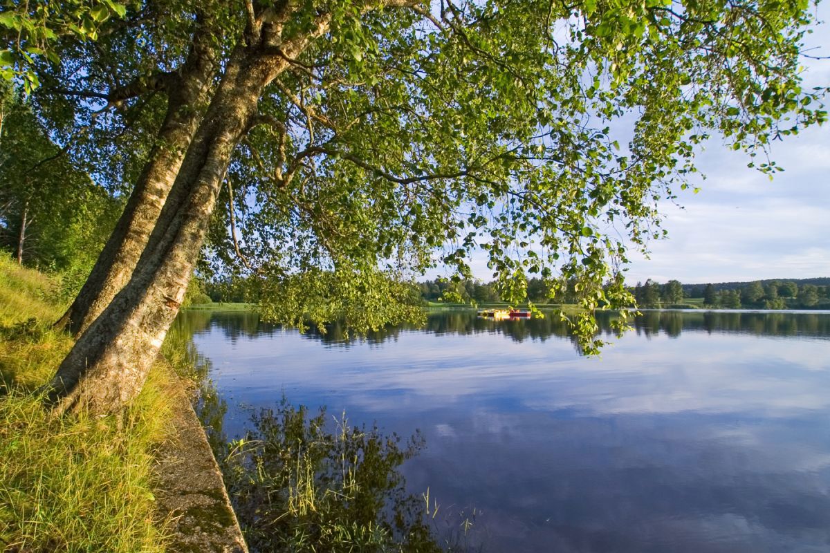 Endelig kom godværet