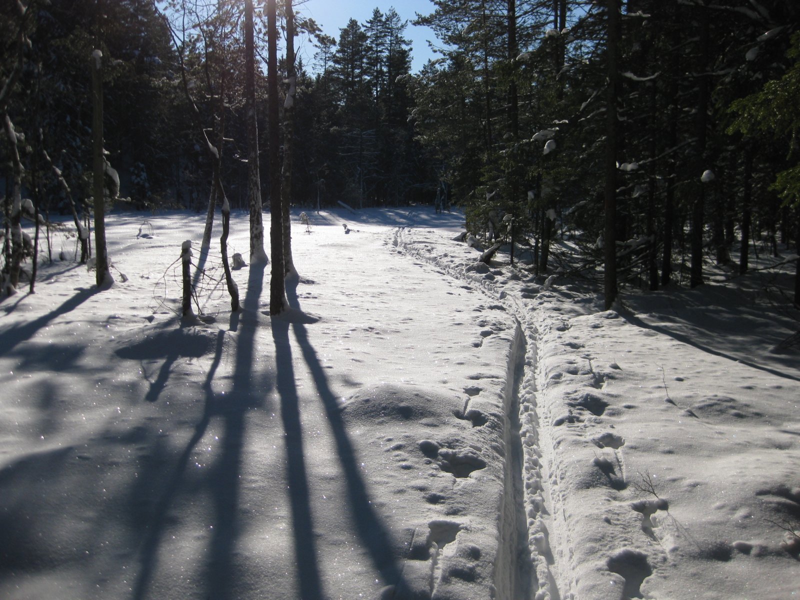 Enkelt skispor på Haukåsen