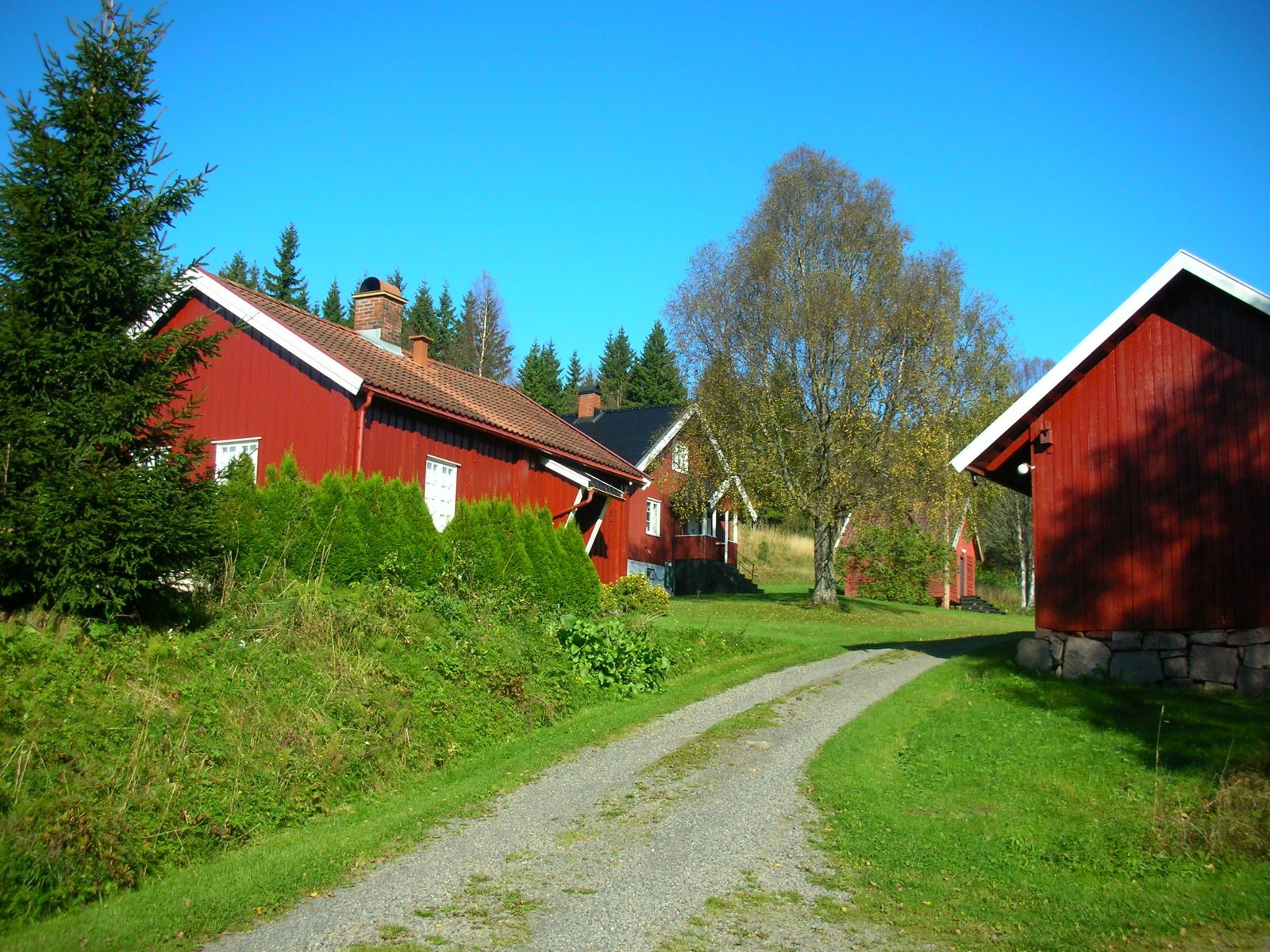 Ennå sommer i luften på Gåslungen