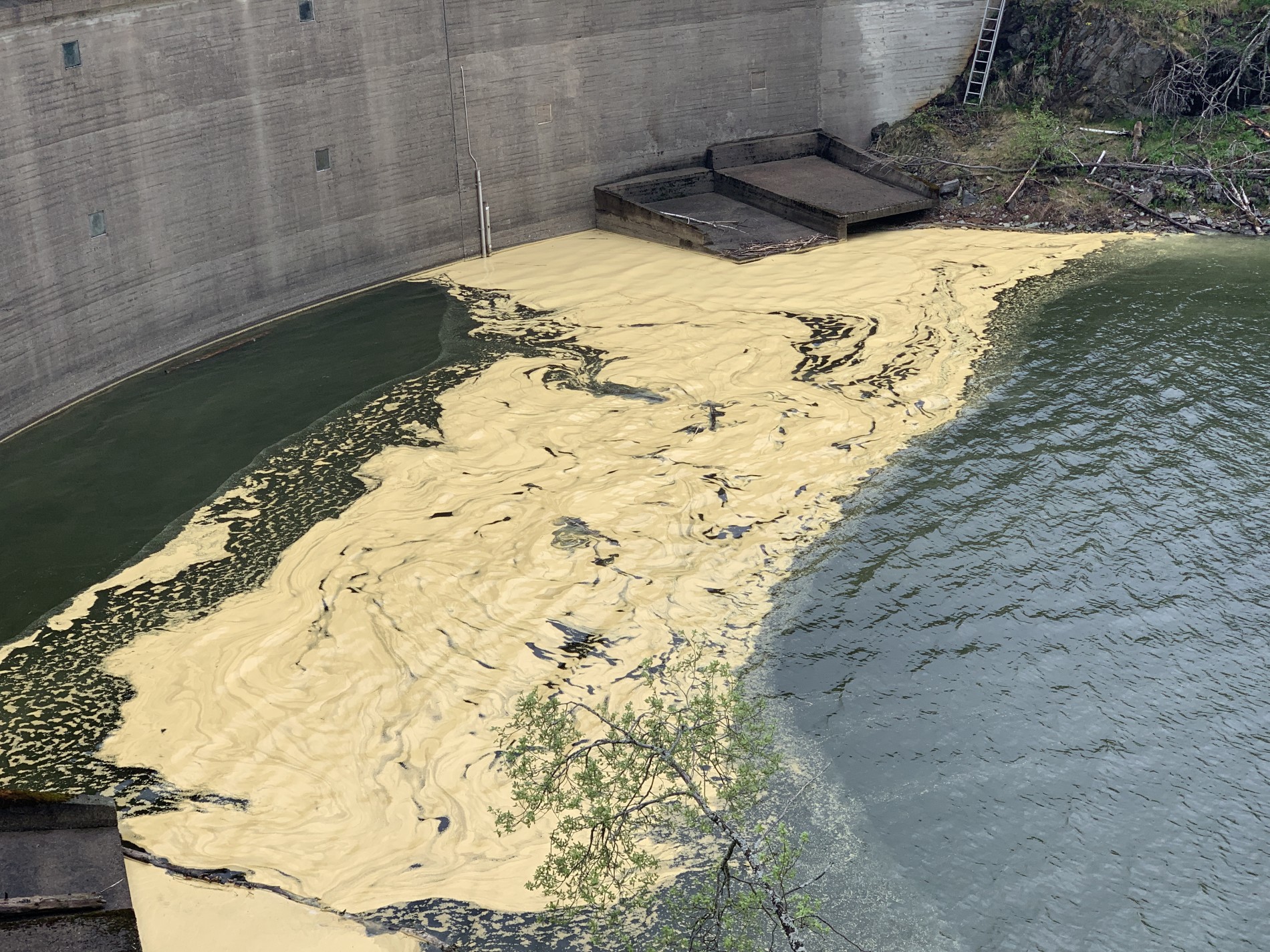 Enorme menger furustøv