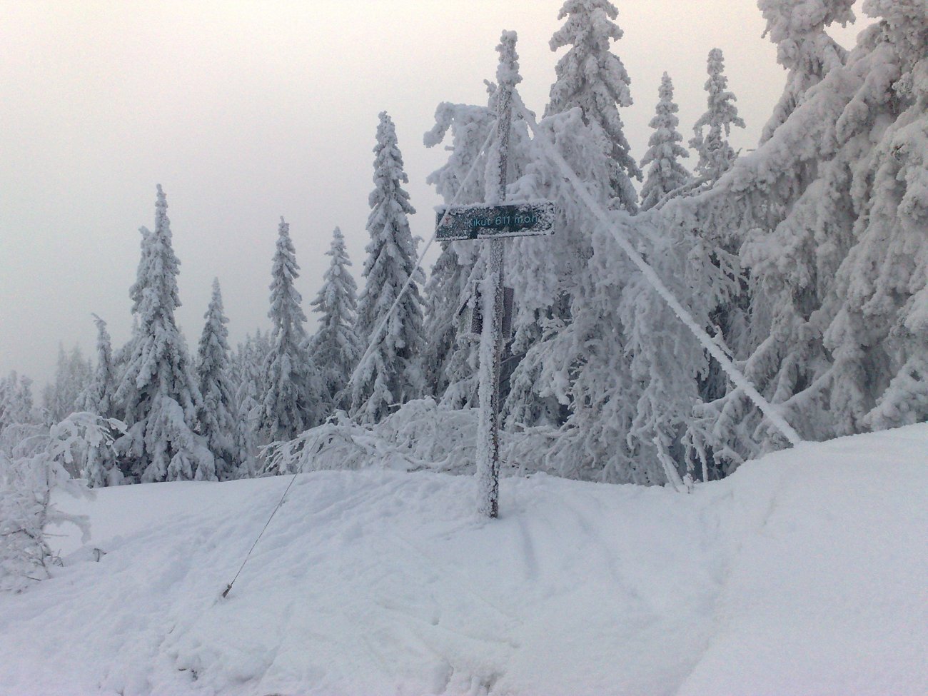 Ensomt på toppene ...