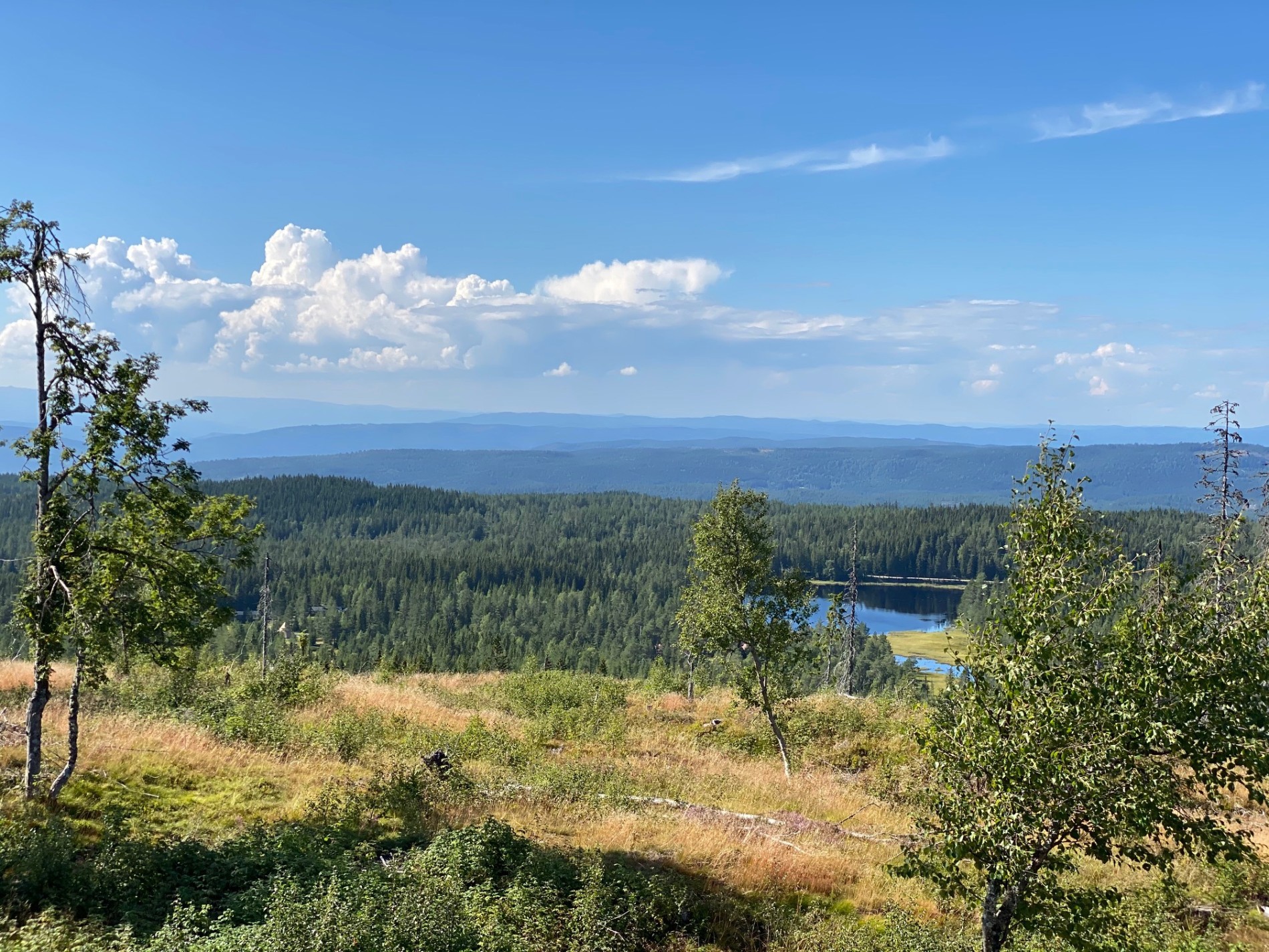 Et gløtt av Åstjernet