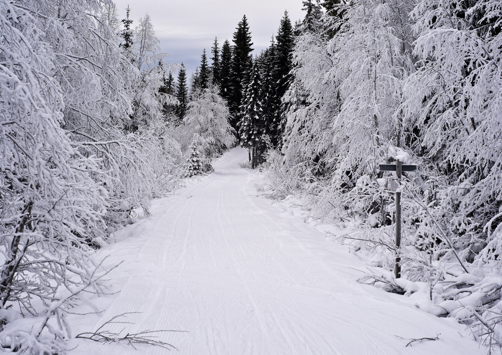 Et landskap i sort og hvitt