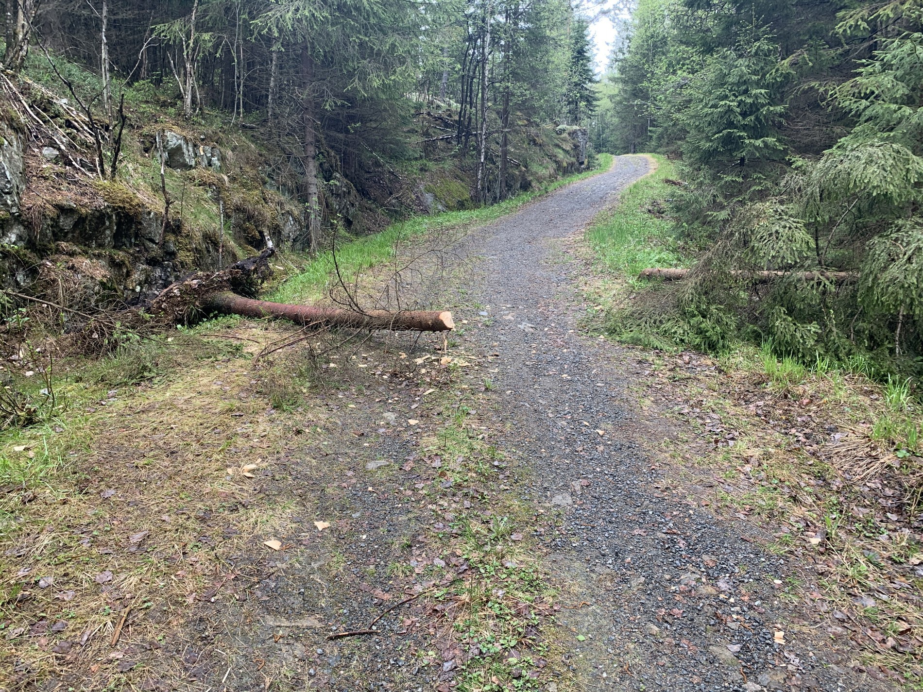 Et lite vindfall ved Skilledalen