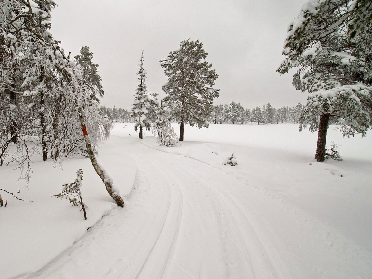 Et rødt punkt i svart/hvitt-landskapet