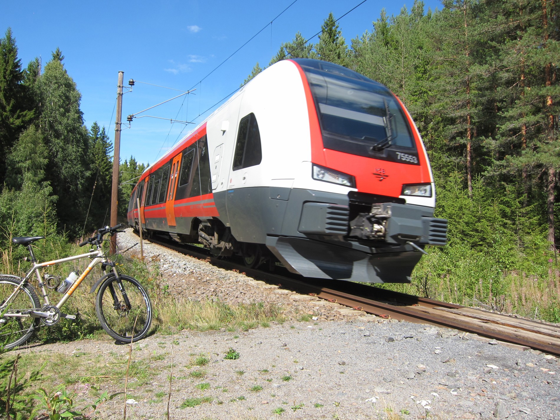 Et tog suser gjennom skogen