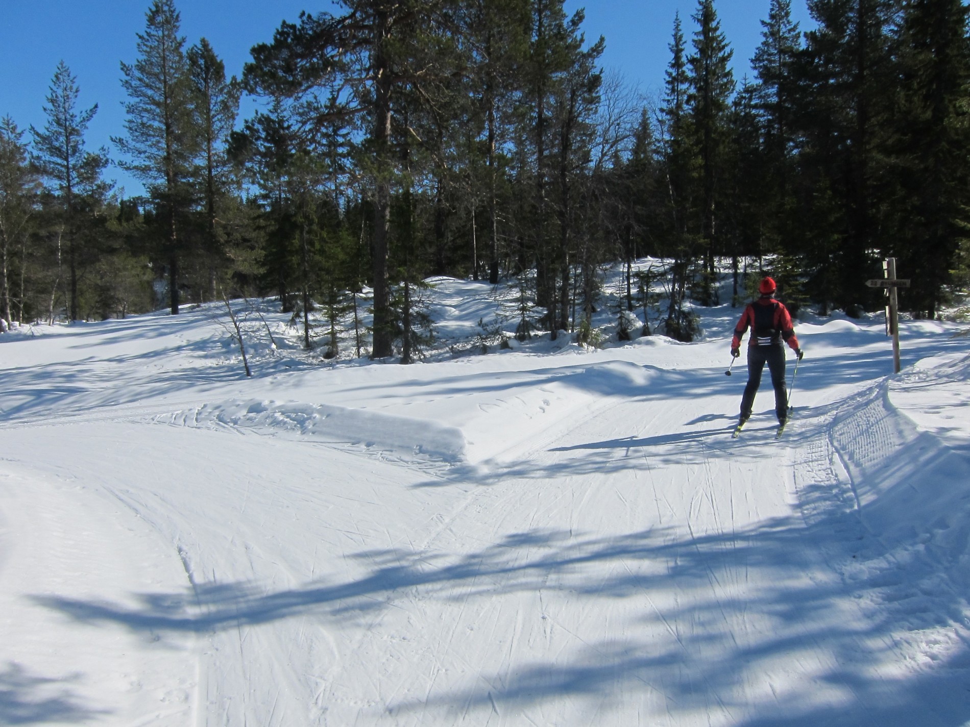 Et valg i Øyungsrunden