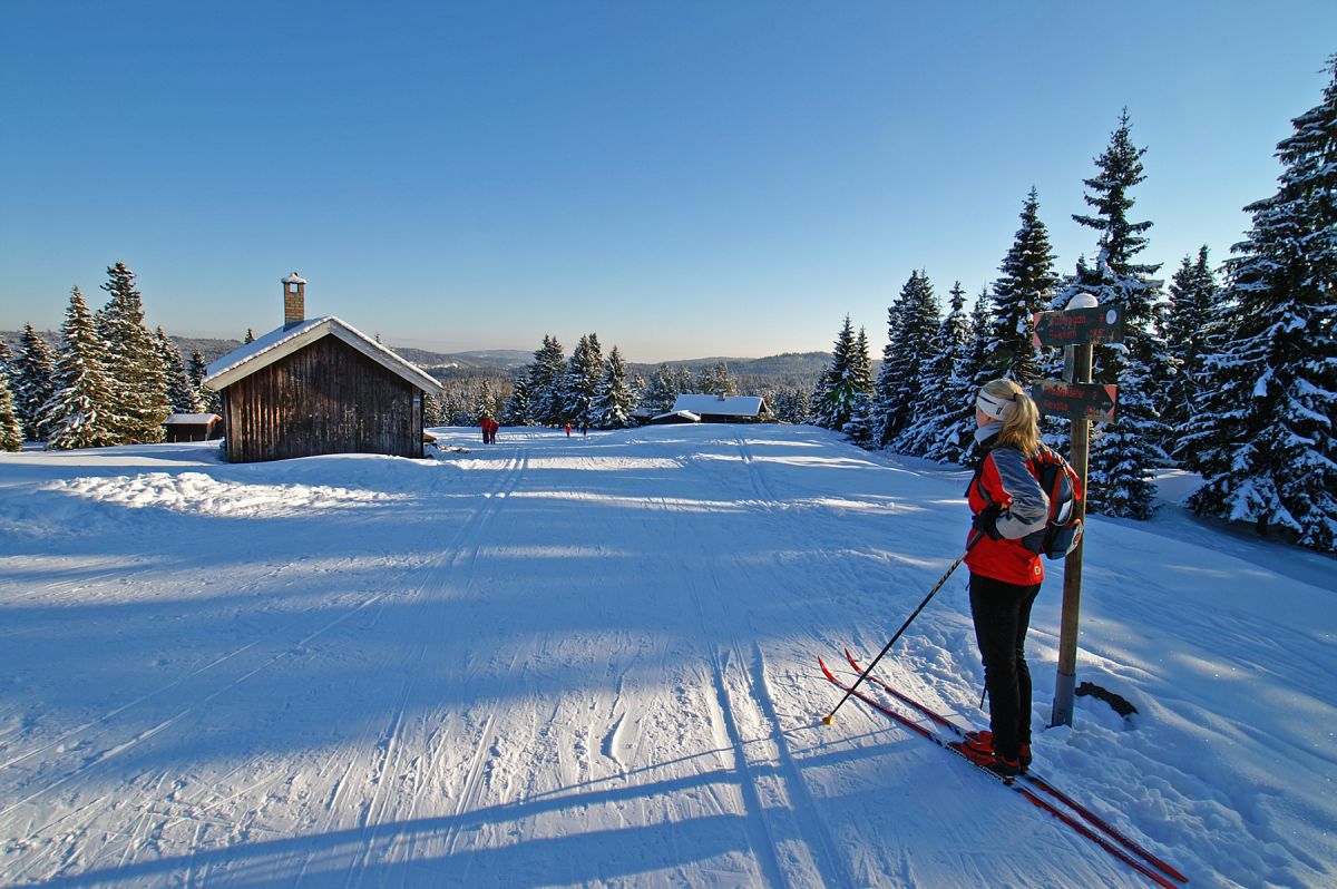Ettermiddag ved Sørsetra