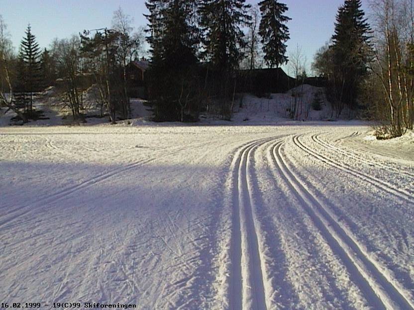 Ettermiddag ved Tryvannstua