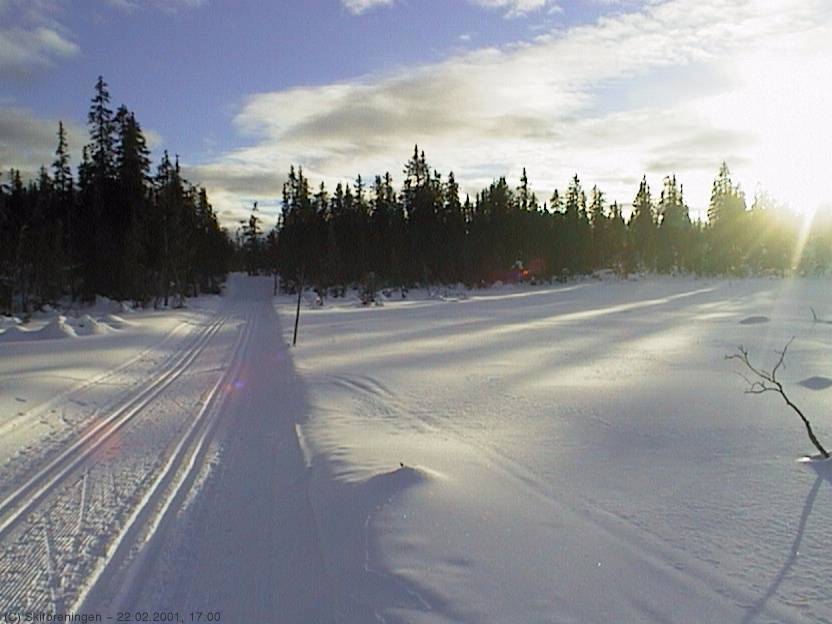 Ettermiddagssol over Stubdalsflaka