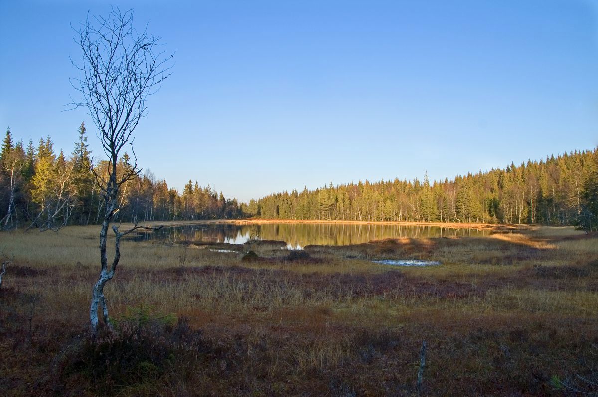 Ettermiddagssol ved Sakromstjernet