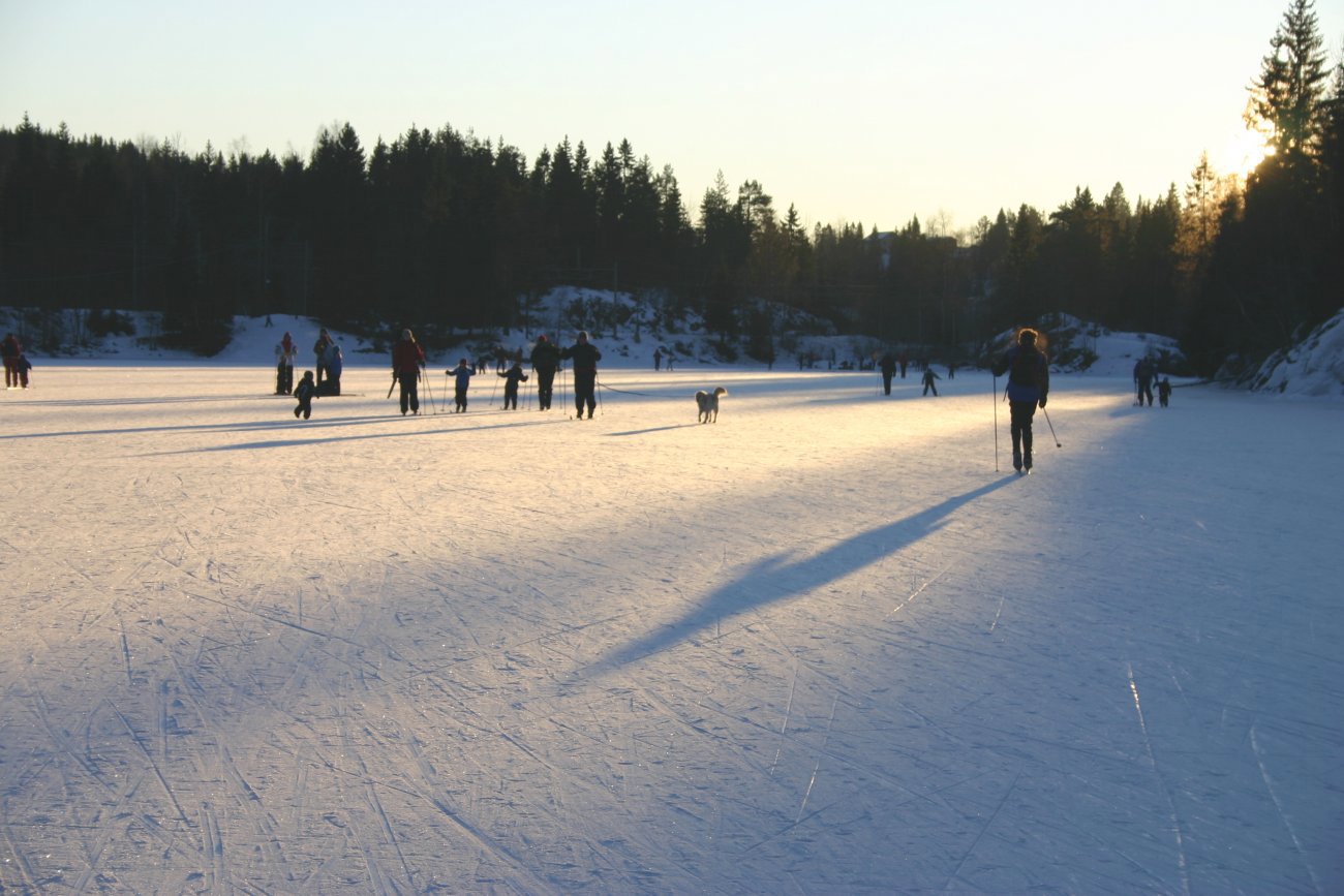 Ettermiddagstur fra Movatn