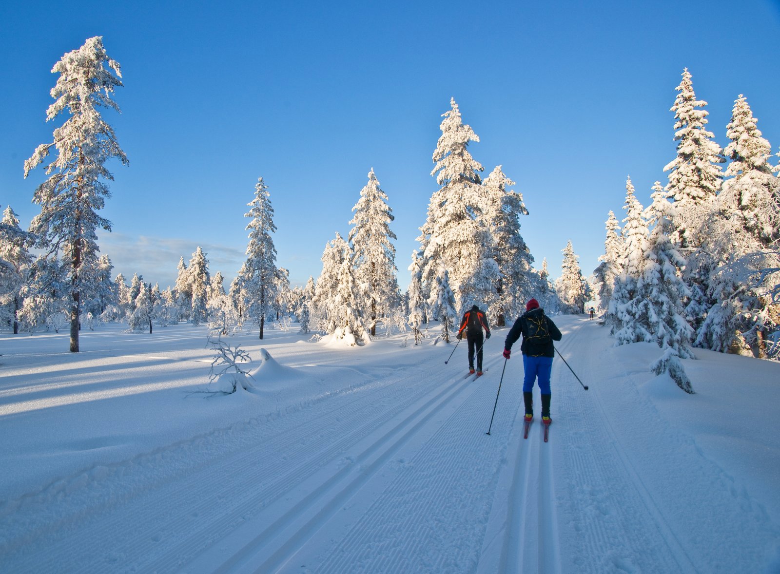 Eventyr på Lauvliflaka