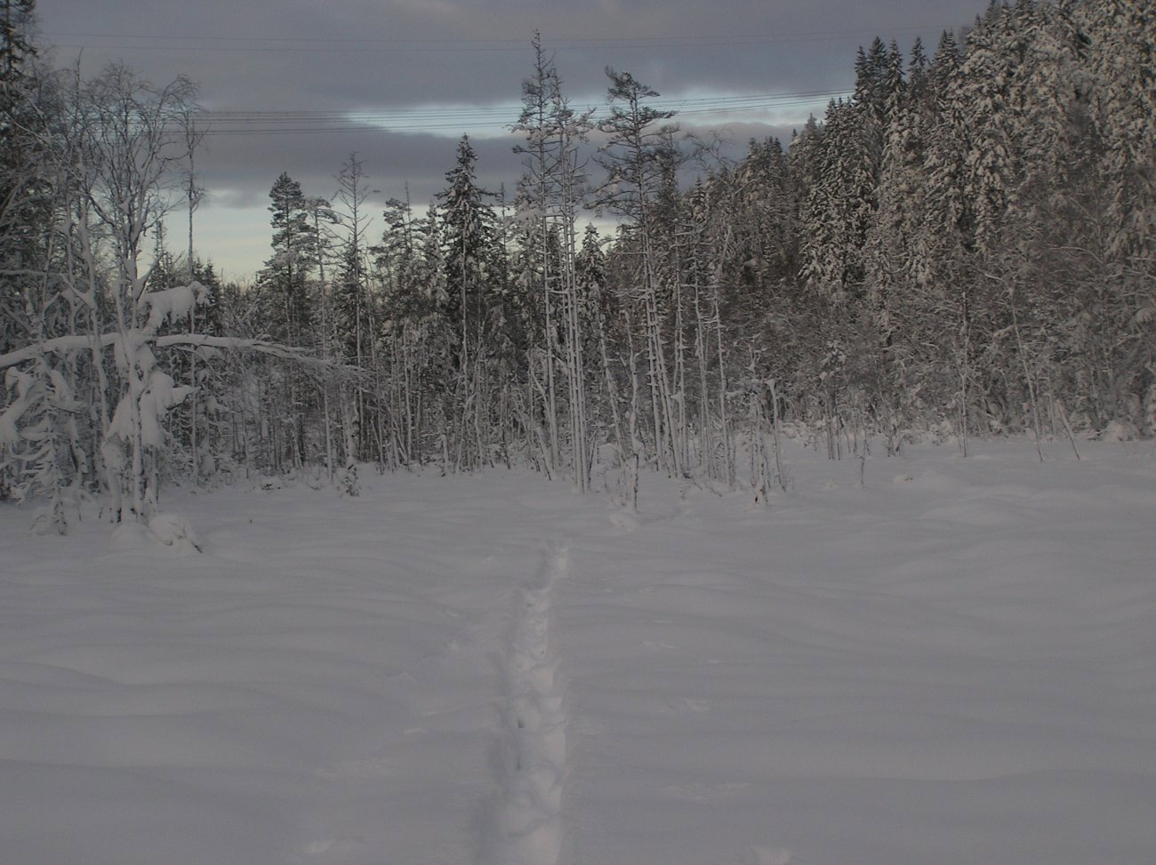Eventyrlig i Valstadløypa
