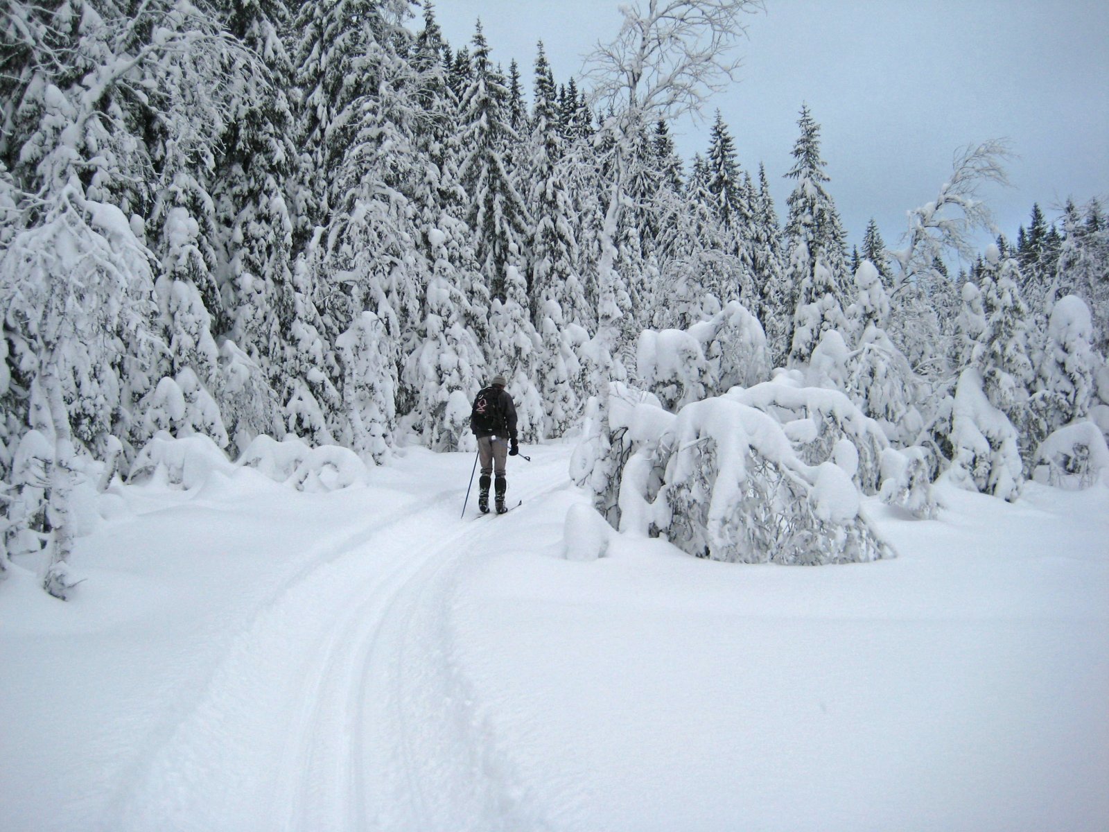 Eventyrløype mellom Ugla og Mosjøen