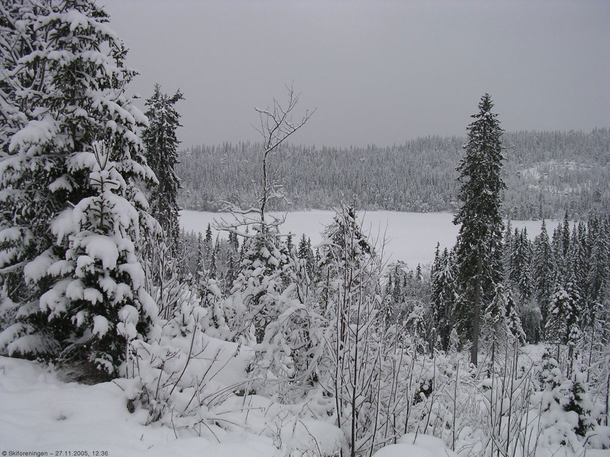 Fagervann sett fra Spålsveien
