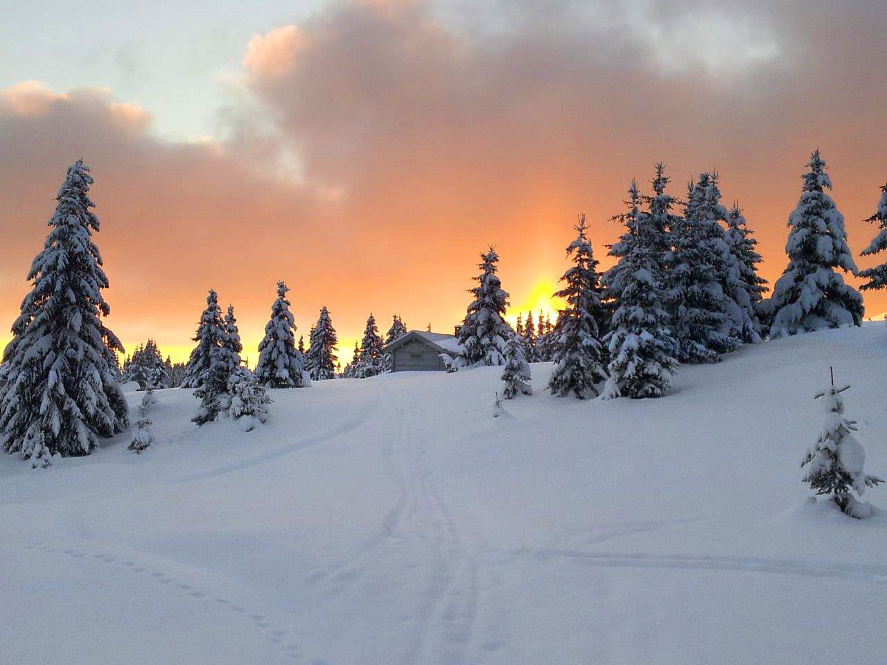 Fantastisk lys ved Nysetra