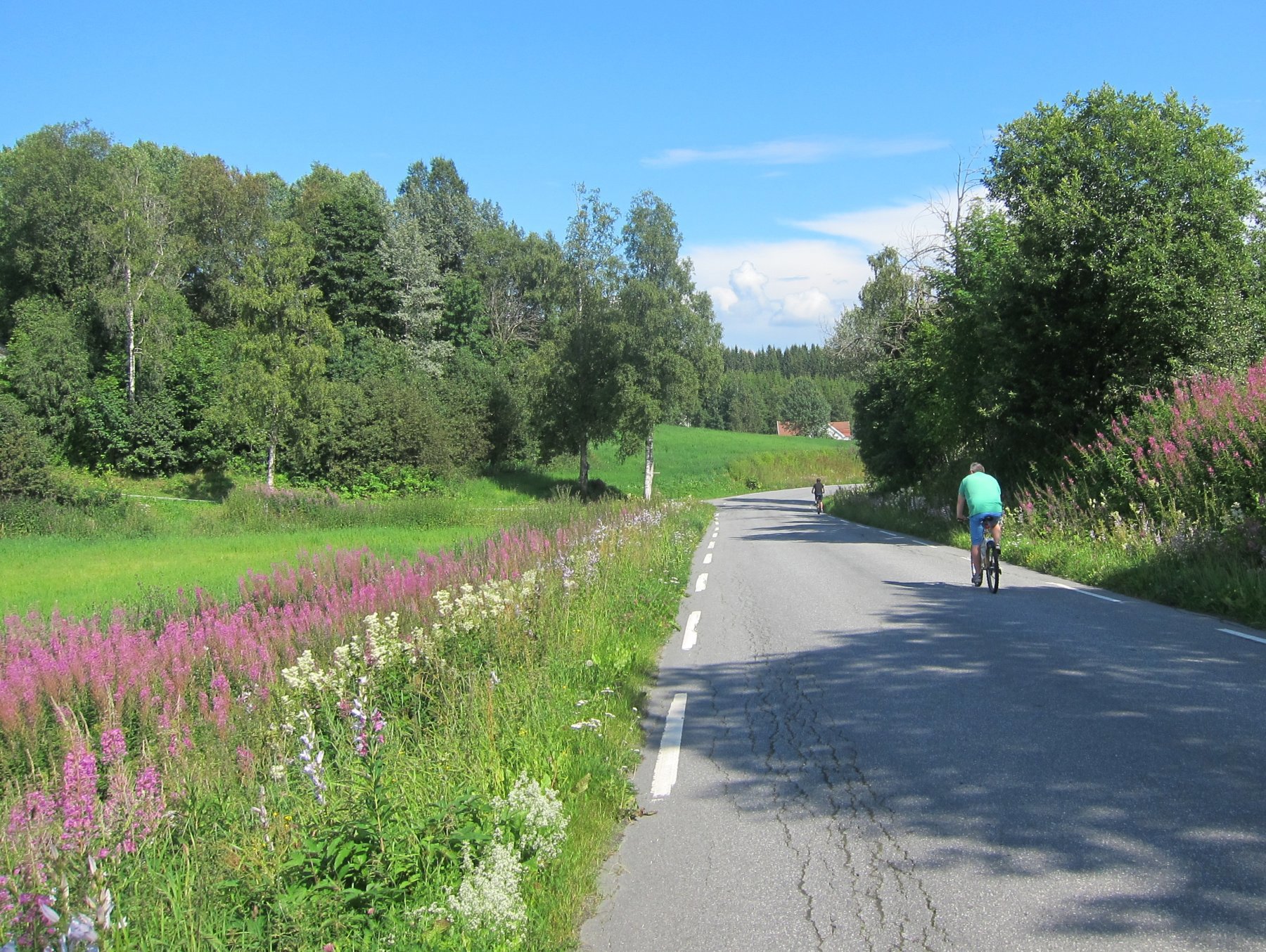 Fargerikt langs Vardalsvegen